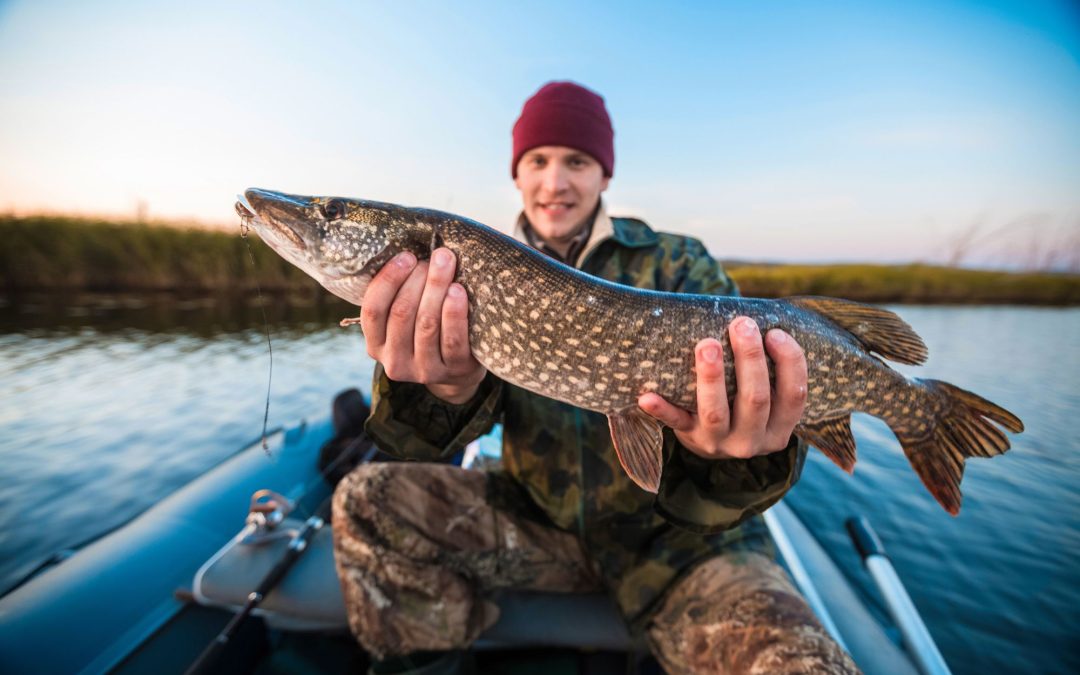 Mastering the Art: Fishing Tips to Enhance Your Angling Experience