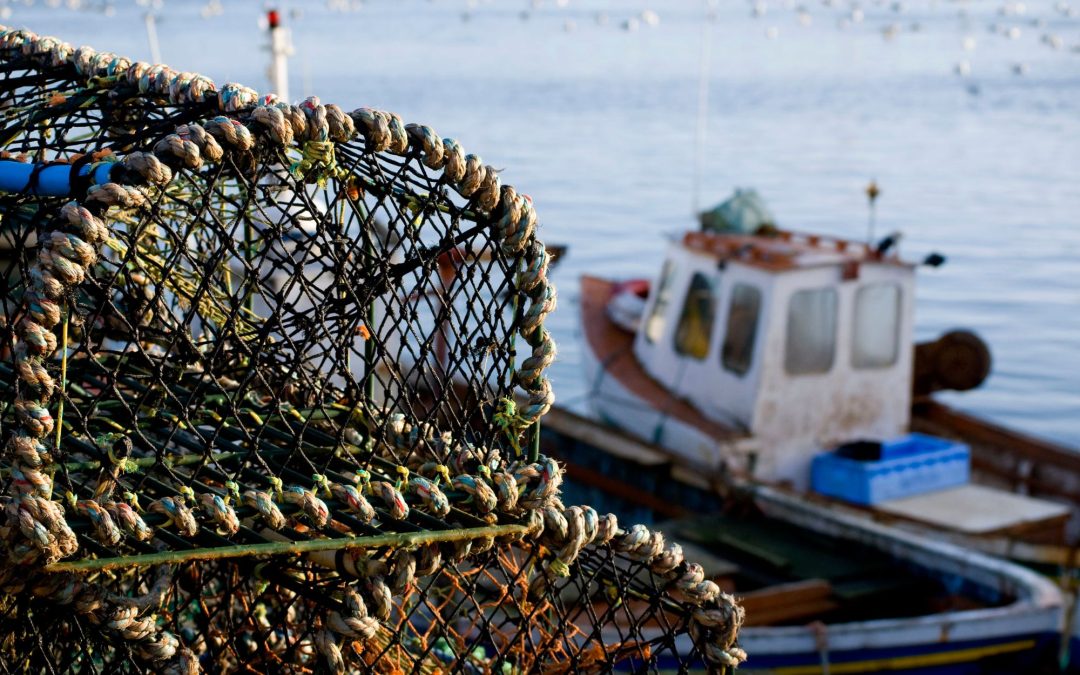 Ocean Fishing: A Deep-Sea Adventure of Thrills and Bounty