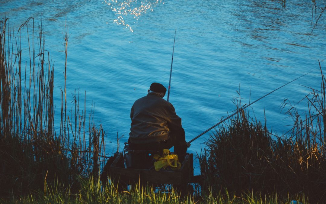 The Art and Joy of Lake Fishing: A Tranquil Escape into Nature’s Embrace