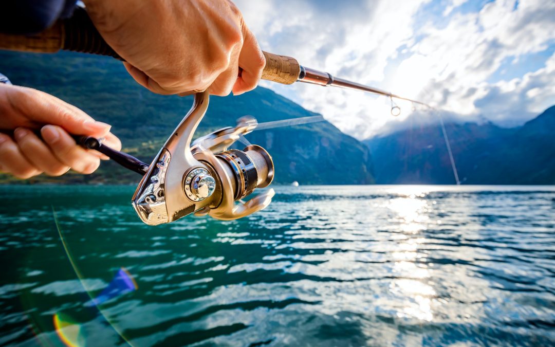 Choosing the Ideal Fishing Rod: A Guide to Finding Your Perfect Match